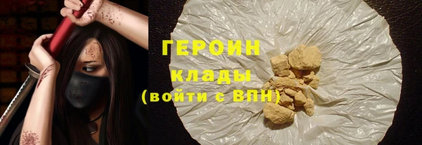 индика Горняк