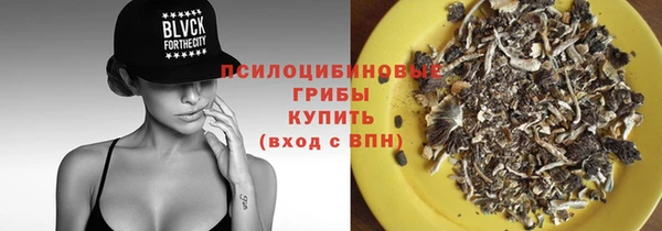 молекула духа Горнозаводск