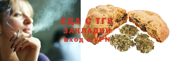 индика Горняк