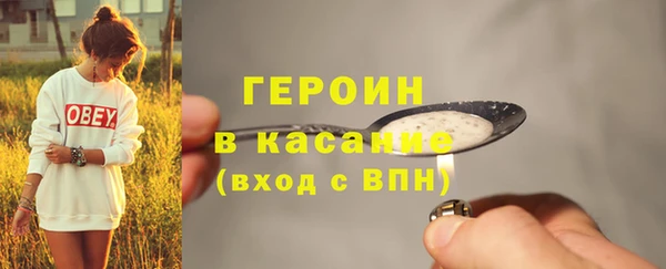 индика Горняк