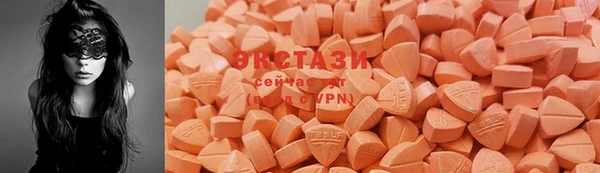 индика Горняк