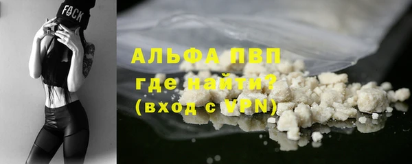 индика Горняк