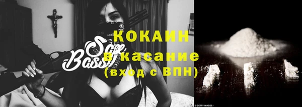 индика Горняк