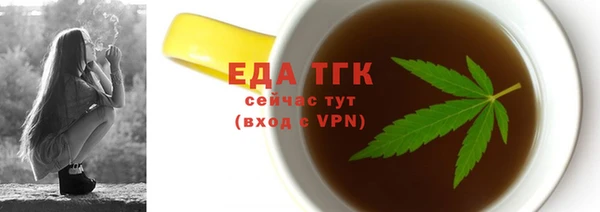 индика Горняк