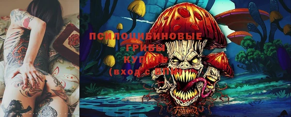 индика Горняк