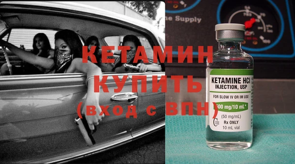 индика Горняк