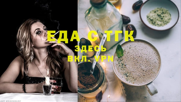 индика Горняк