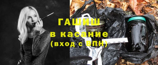индика Горняк