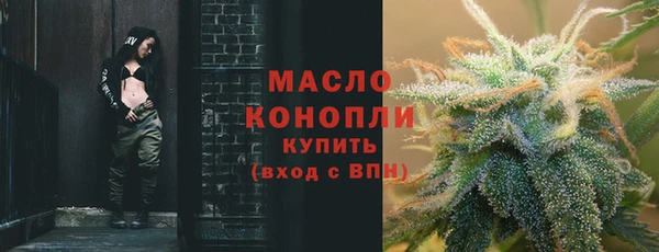индика Горняк