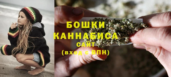 молекула духа Горнозаводск