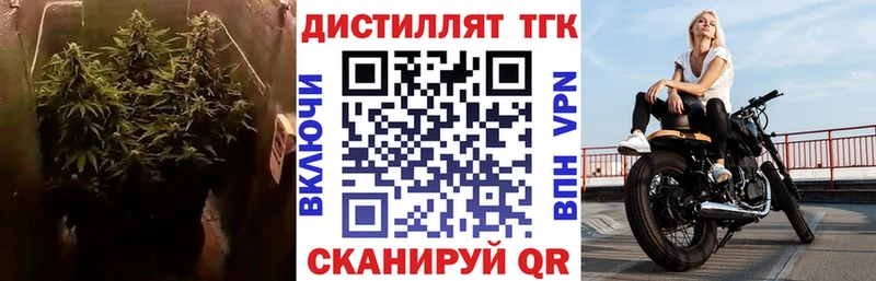 Купить закладки Кировск Дистиллят ТГК вейп