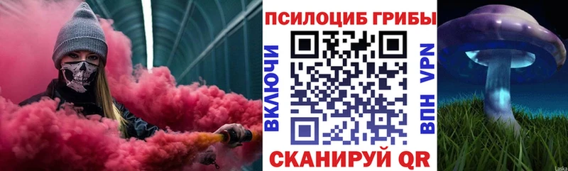Купить  Кировск  Галлюциногенные грибы MAGIC MUSHROOMS 